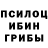 Псилоцибиновые грибы Cubensis milana kadyrkanova