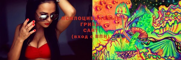 винт Осинники