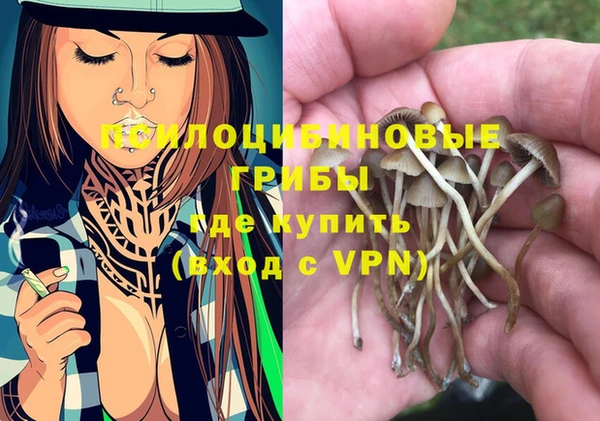 дмт Алексин